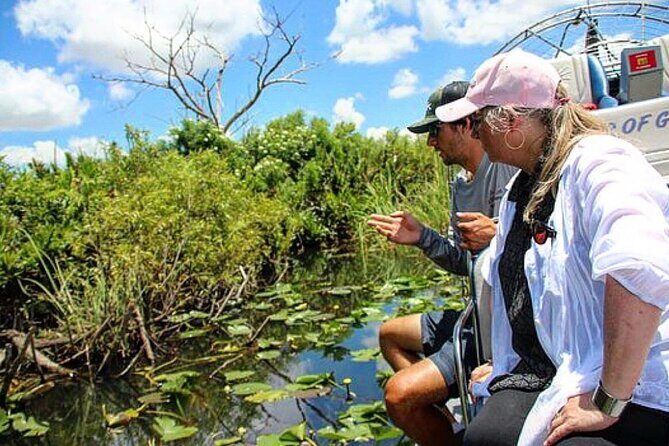 90 Minute Miami Everglades Semi Private Airboat Tour - River Of Grass In 90 Minutes: Why This Timing Works