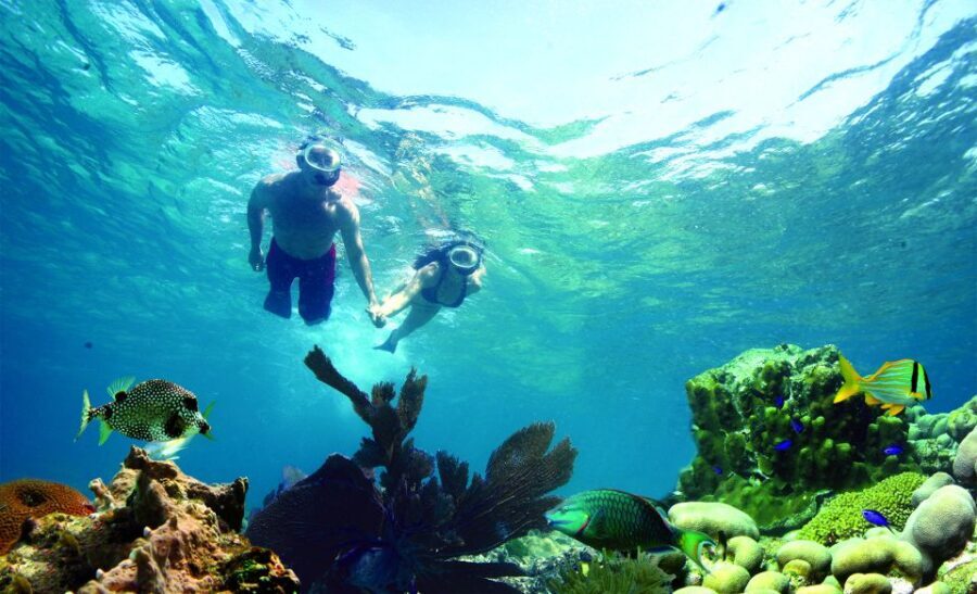 Key West: Reef Snorkeling with Drinks and Sunset Option - Meeting Point, Timing, and What to Bring (So You Don’t Chase the Clock)