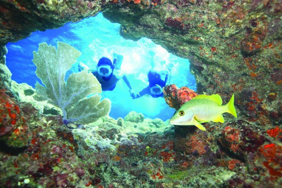 Key West: Reef Snorkeling with Drinks and Sunset Option - Group Size, Crowding, and How to Make It Feel Enjoyable