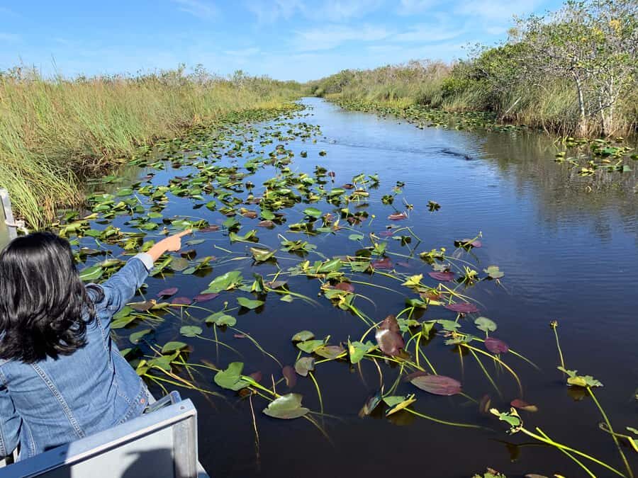 Miami: Alligator Spotting Airboat with Pick-Up/Drop-off - Should You Book This Everglades Airboat Tour?