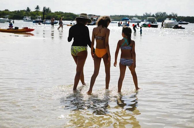 Miami Biscayne Bay Boat Tour with Sandbar Experience. - Wildlife on Biscayne Bay: dolphins, manatees, and the surprises