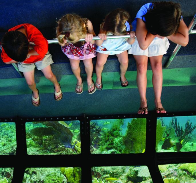 Miami: Key West Dolphin Watch or Snorkel Boat with pickup - Value for $63: What You’re Really Paying For