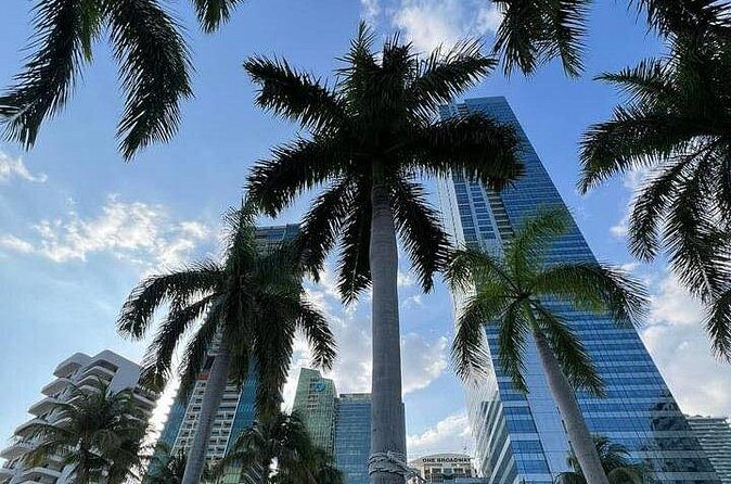 Miami Magic City Romantic Date Tour - The guide factor: why Al’s storytelling makes it feel personal
