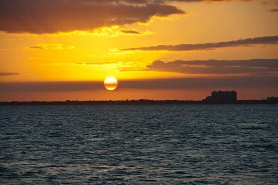 Miami Skyline Sightseeing Cruise and Millionaire Mansions - Quick hits