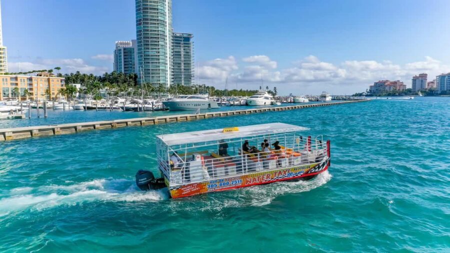 Miami: Skyline Sightseeing Cruise Millionaire Homes & River - Check-In Timing: The Small Window That Can Save Your Day