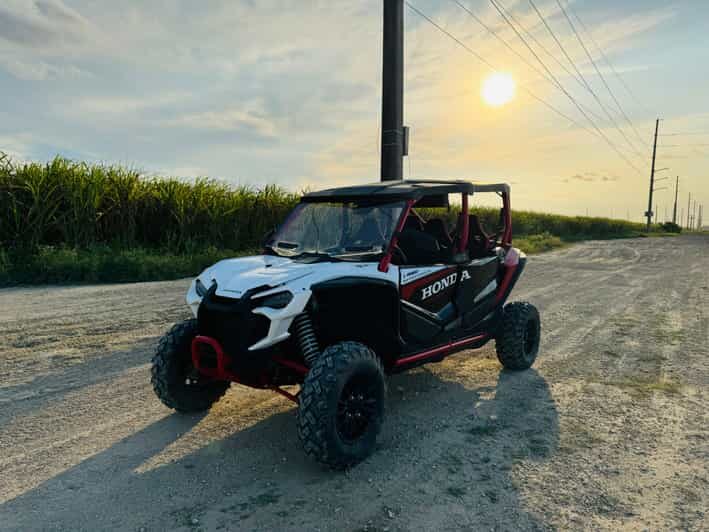 Miami's Ultimate Buggy Adventure on a Honda Talon UTV - Gear up fast: goggles, face covering, and bottled water