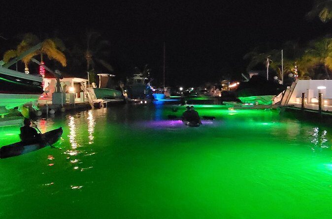 Sunset Kayak Adventure with Enchanting Underwater Lights - Should You Book This Sunset Kayak Adventure?